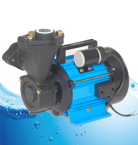 Automatic Water Pump